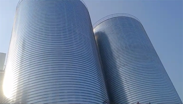 香坊2座混凝土高架卷板仓